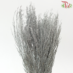 Stoebe - Dyed Silver (Per Bunch)-Silver-Africa-prflorist.com.my