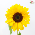 Sunflower (2 Stems)-Japan-prflorist.com.my