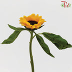 Sunflower - (10 Stems) - Pudu Ria Florist