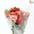The Courage of Love - (Mixed - Kenya Cappuccino & Fire) (10 Stems Per Bundle)-Kenya-prflorist.com.my