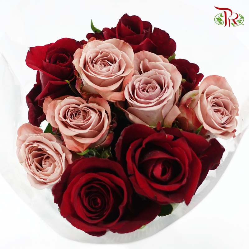 The Vintage Of Passion - (Mixed - Kenya Cappuccino & Ever Red) - (10 Stems Per Bundle)-Kenya-prflorist.com.my