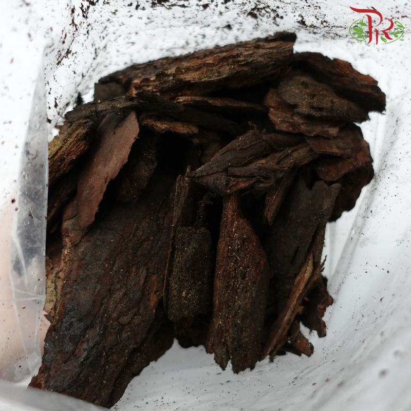 Tree Bark - 1KG  松鳞树皮