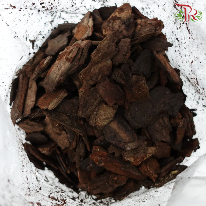 Tree Bark - 1KG  松鳞树皮