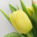 Tulip - Double Yellow (5 Stems / 10 Stems)-Netherland-prflorist.com.my
