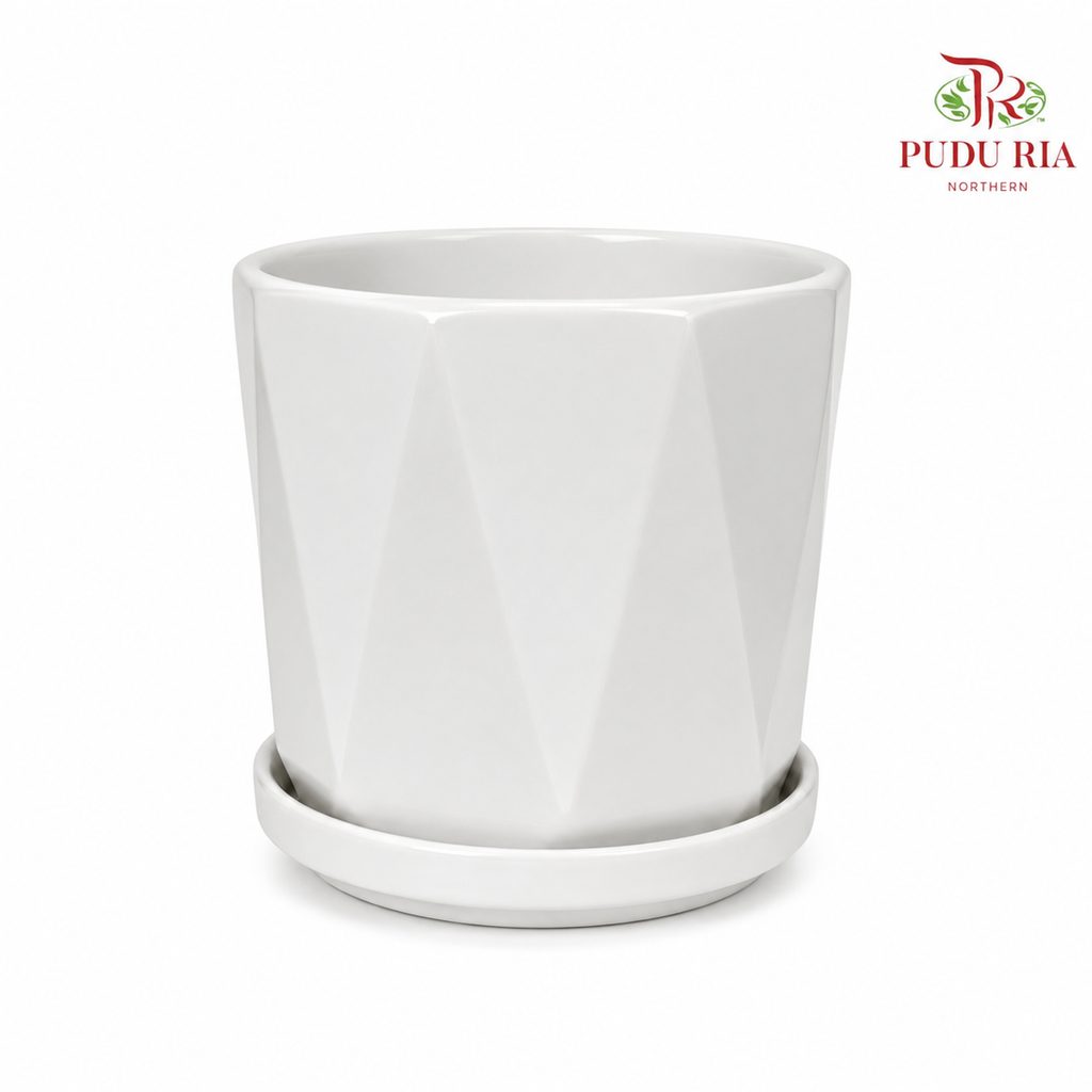 TX72 White Pot