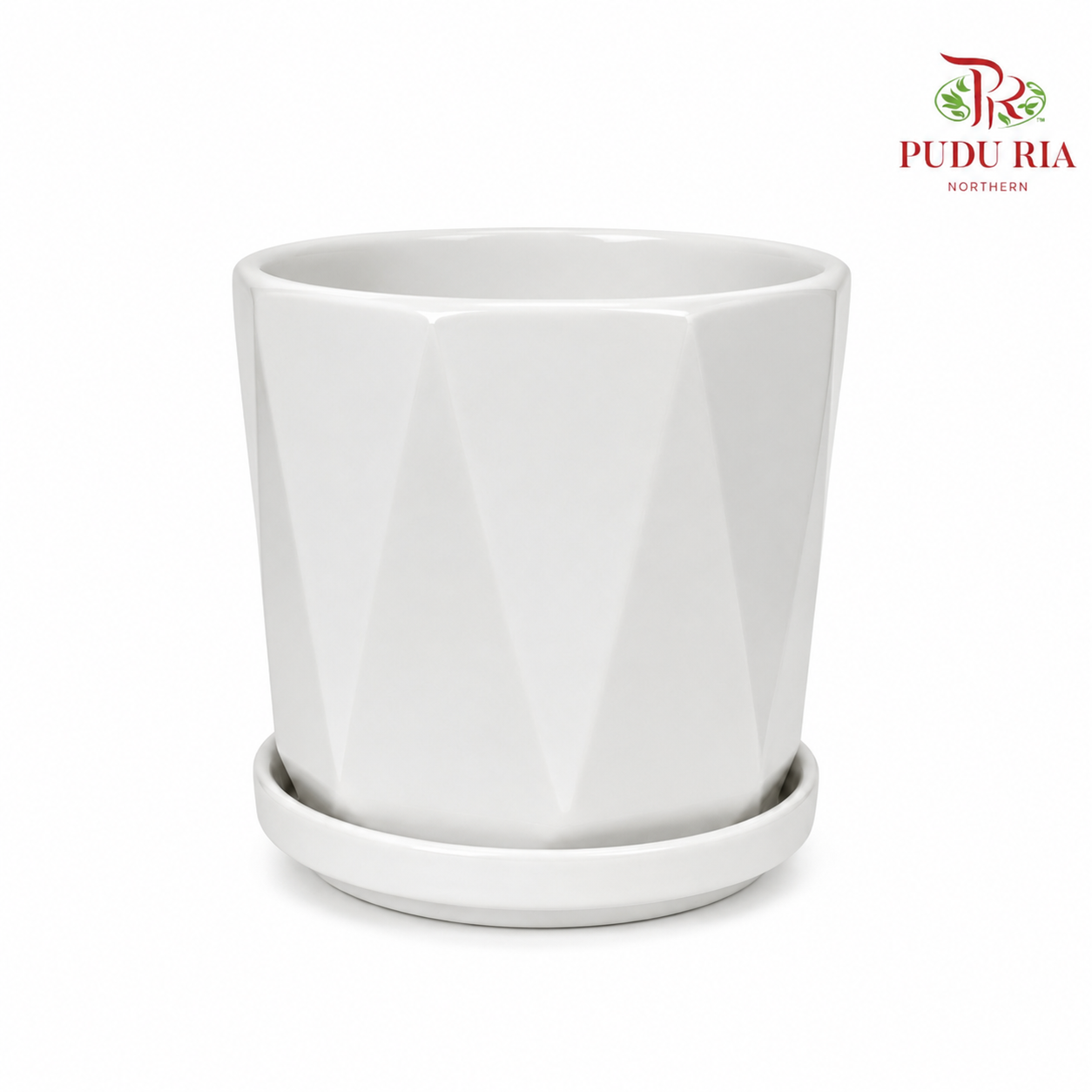 TX72 White Pot
