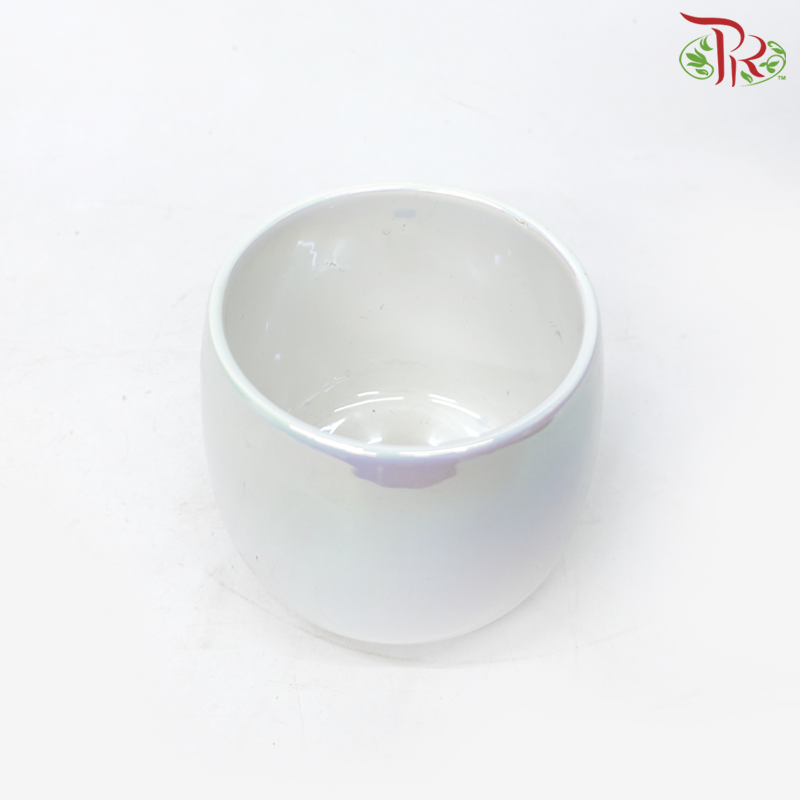 TYN-2025 Asst Pot (TYN2025)-Pudu Ria Florist-prflorist.com.my