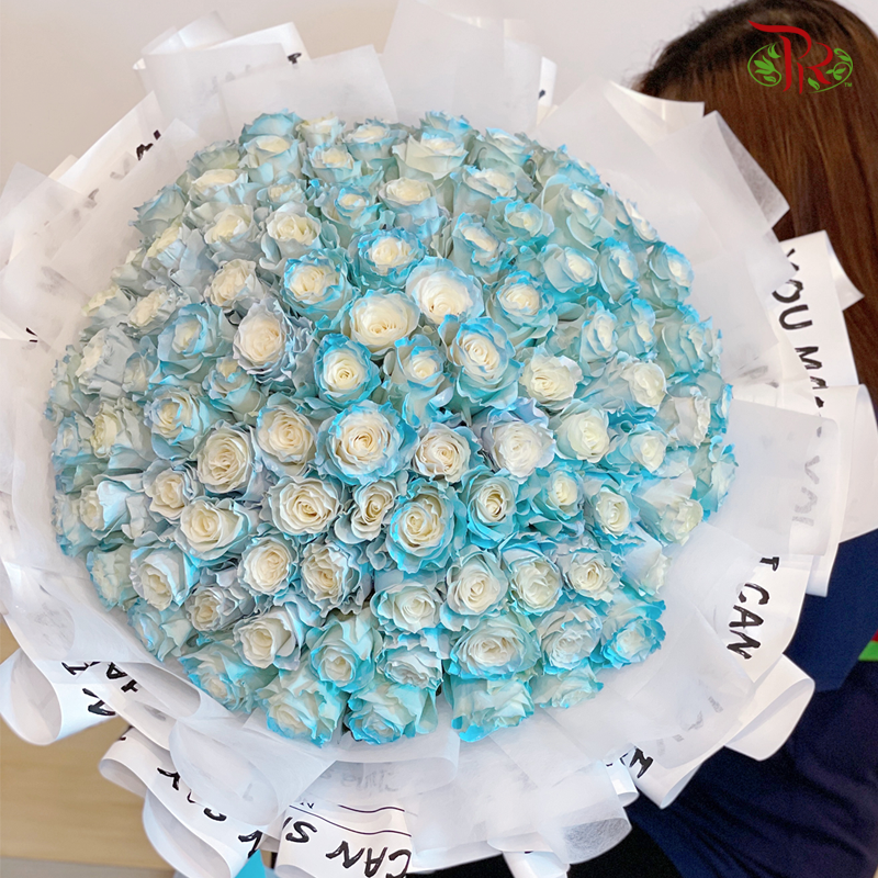 V12- 99 Stems Colour Roses ( XL Hand Bouquet)-Pudu Ria Florist-prflorist.com.my