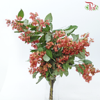 Winter Red 《冬红果》