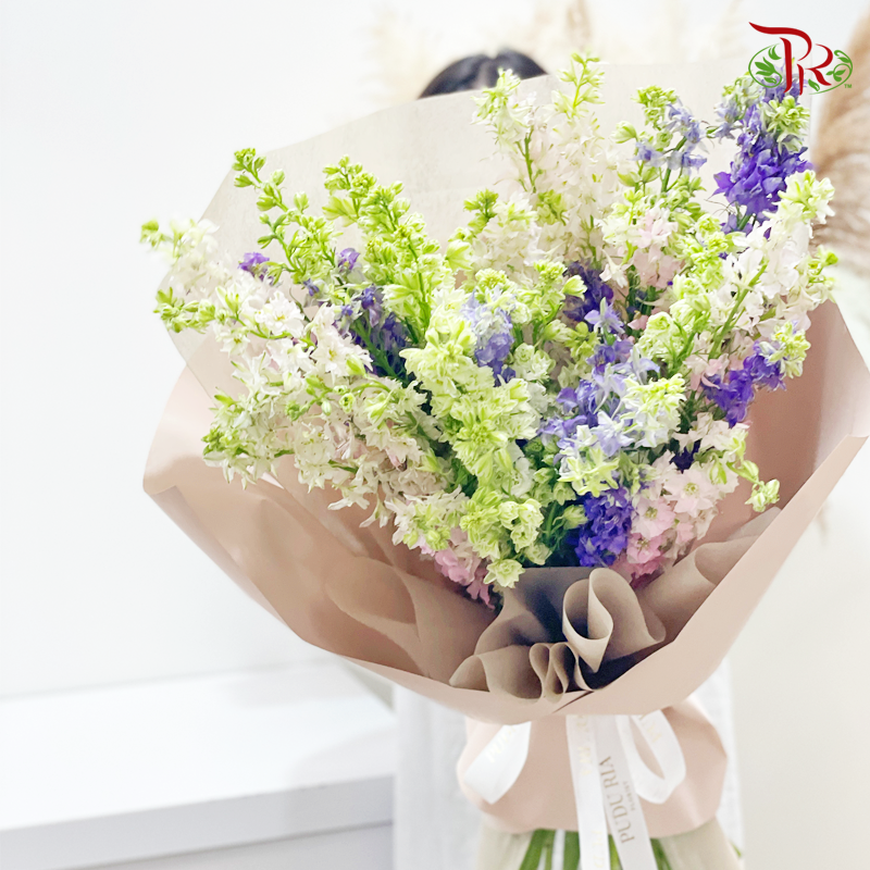Wrapping Bouquet- Larkspur In Assorted Colours (L size)-Pudu Ria Florist-prflorist.com.my